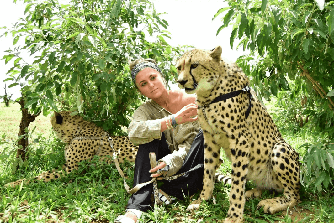 Cheetah Walk & Interaction