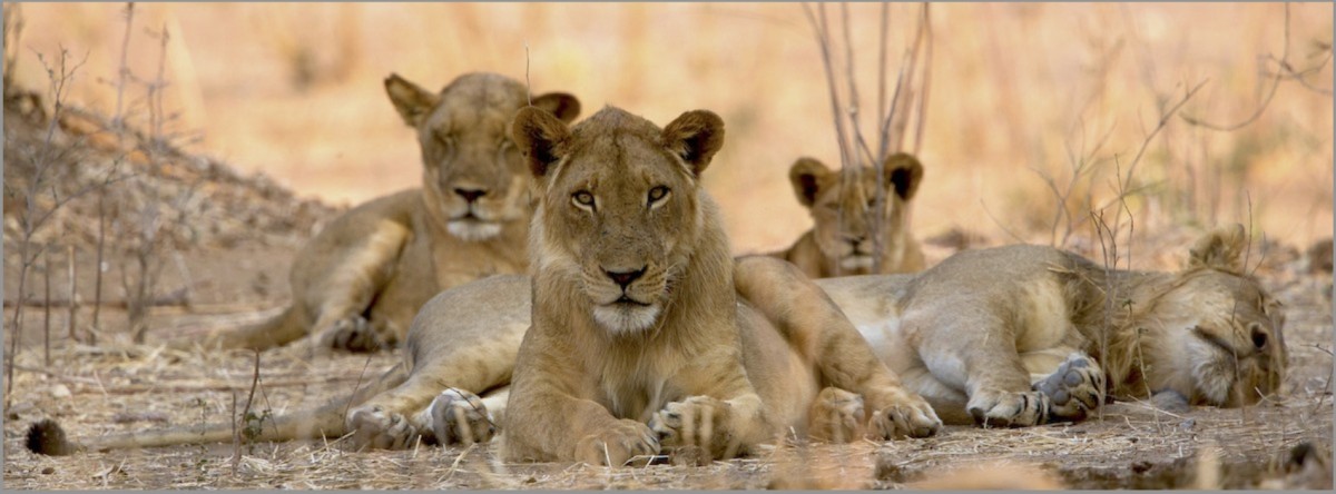 Chobe, Botswana